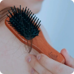 Cabello al mejor precio: La'dor Mini Wooden Paddle Brush de Lador Eco Professional en Skin Thinks - 