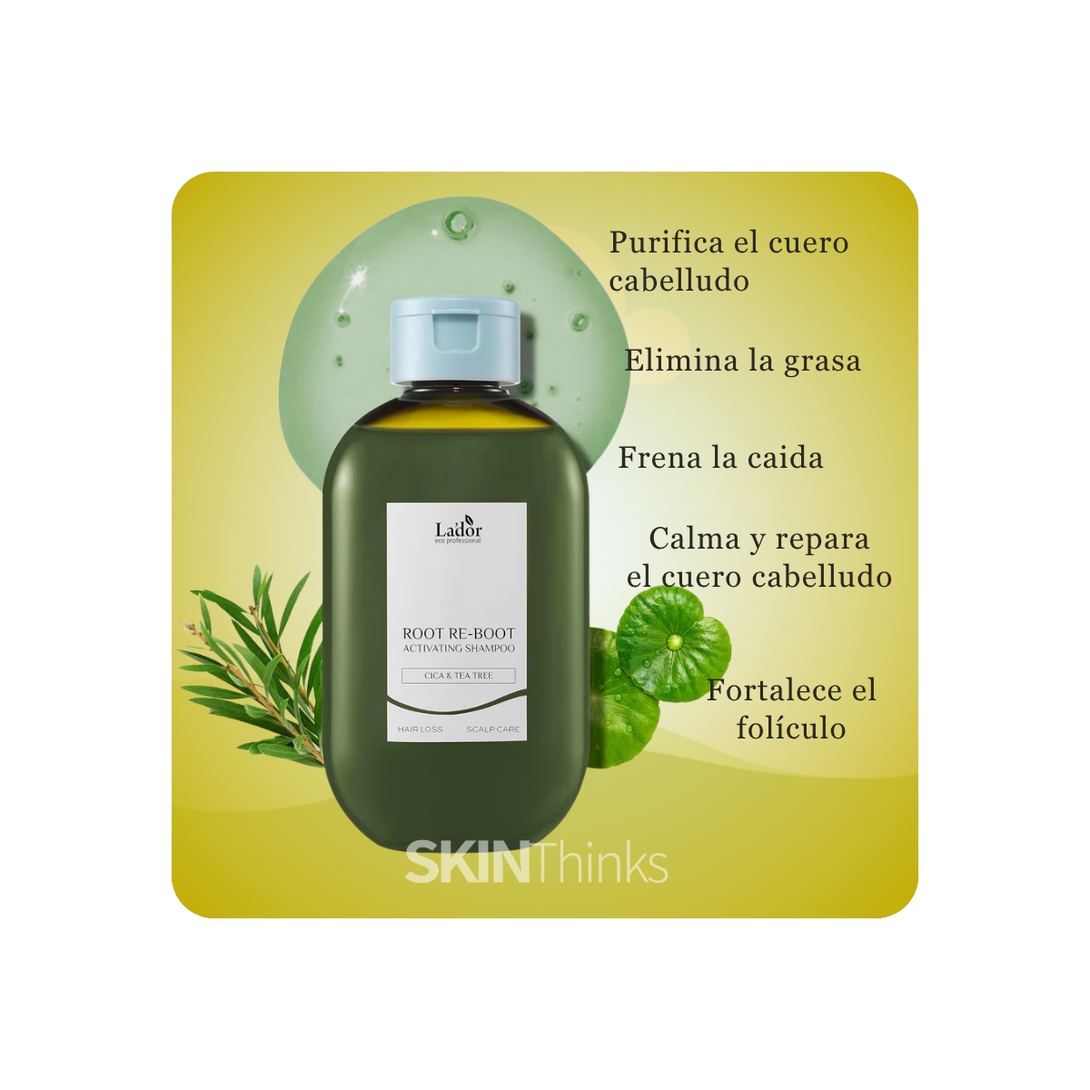Cabello al mejor precio: LADOR Root Re-Boot Activating Shampoo (Centella asiática y Árbol de té) de Lador Eco Professional en Skin Thinks - 