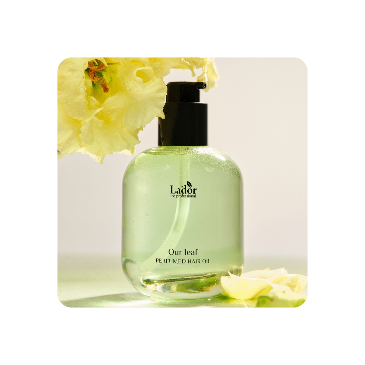 Cabello al mejor precio: Aceite capilar perfumado LADOR (Our Leaf) 30 ml de Lador Eco Professional en Skin Thinks - 
