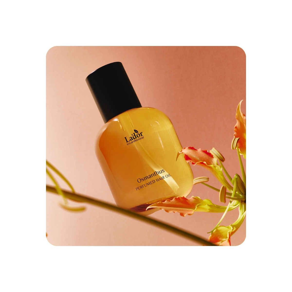 Cabello al mejor precio: Aceite capilar perfumado LADOR (Osmanthus) 30 ml de Lador Eco Professional en Skin Thinks - 