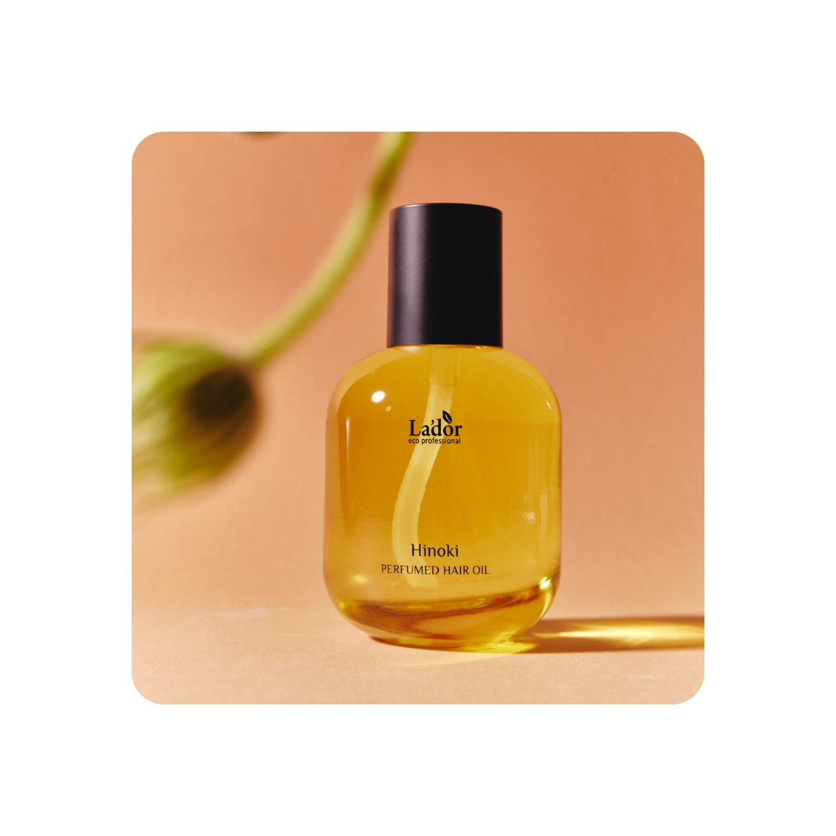 Cabello al mejor precio: Aceite capilar perfumado LADOR (Hinoki) 30 ml de Lador Eco Professional en Skin Thinks - 