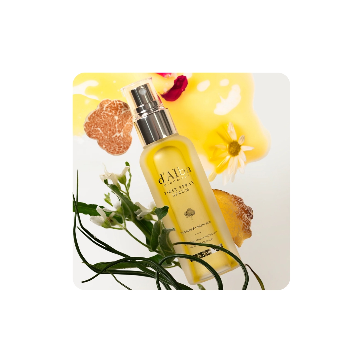 Serum y Ampoules al mejor precio: Serum hidratante d'Alba First Spray Serum 50ml de D'Alba Piedmont en Skin Thinks - Piel Seca