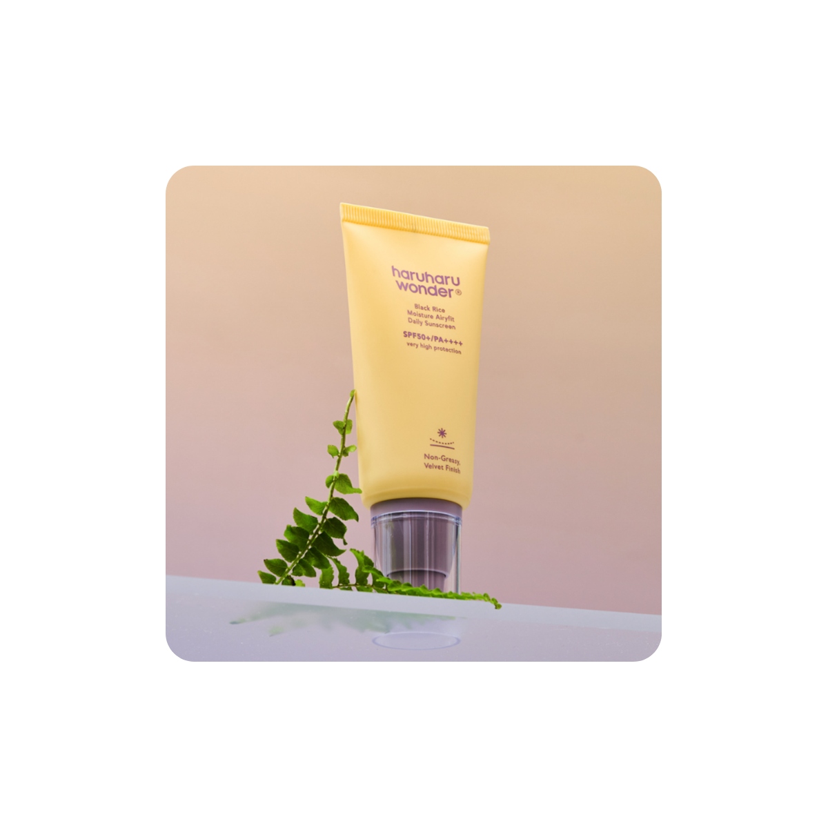 Protector Solar al mejor precio: Haruharu Wonder Black Rice Moisture Airyfit Daily Sunscreen Spf50 Pa++++ de Haru Haru Wonder en Skin Thinks - Piel Seca