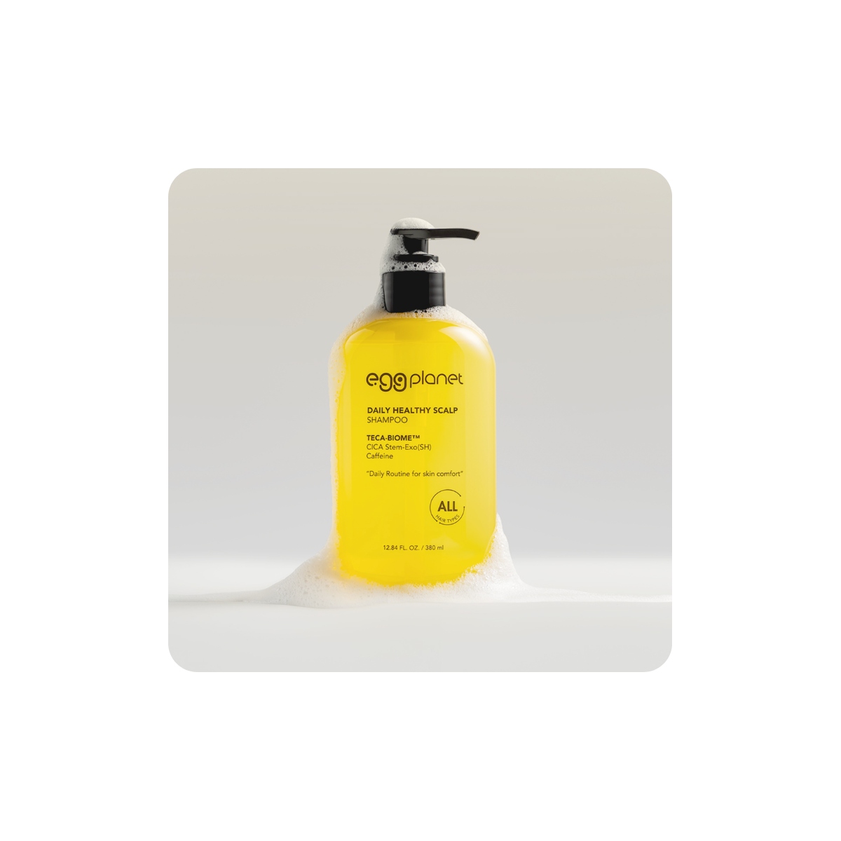 Cuidado del Cabello al mejor precio: Champú sin sulfatos Daeng Gi Meo Ri Eggplanet Daily Healthy Scalp Shampoo 380ml de Daeng Gi Meo Ri en Skin Thinks - 