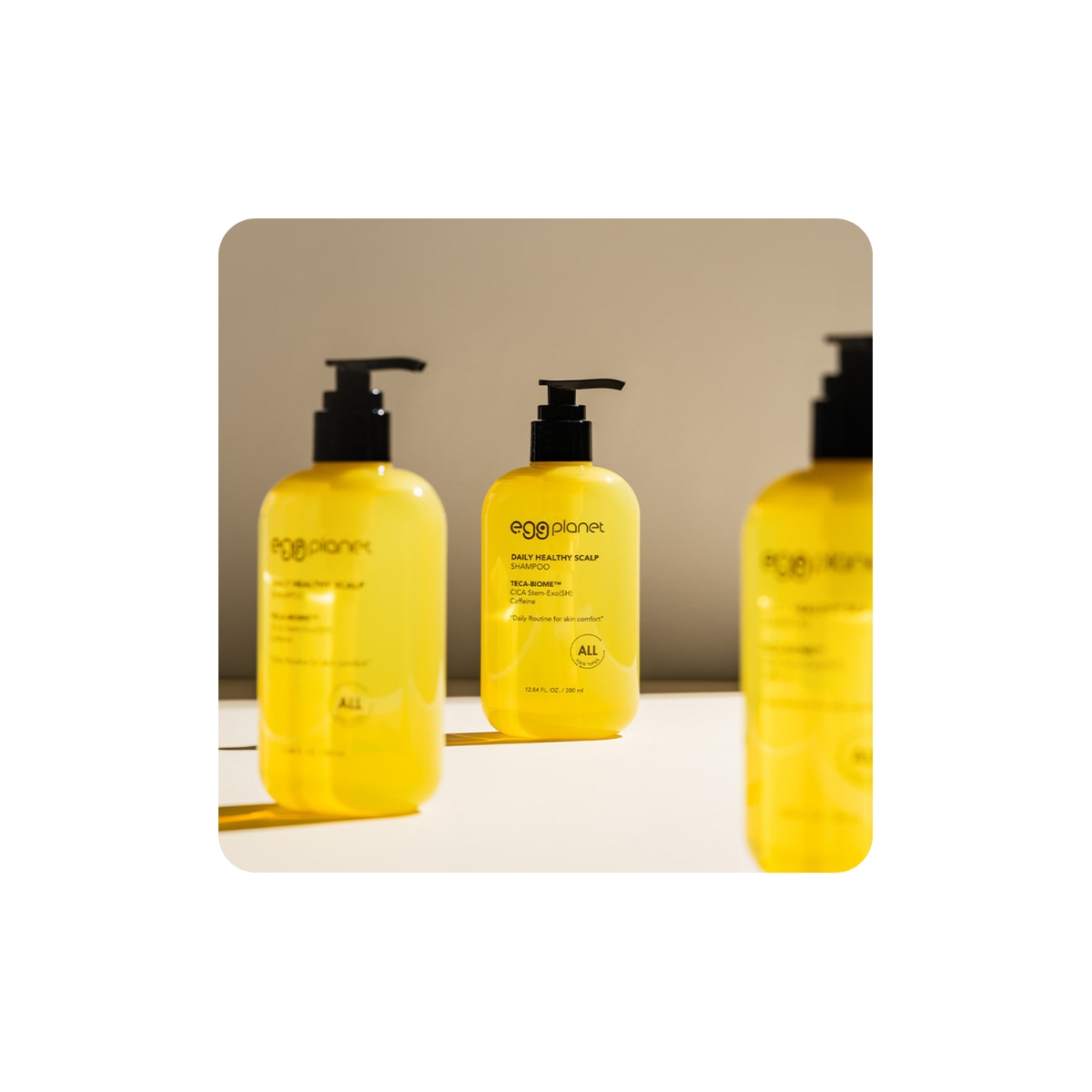 Cuidado del Cabello al mejor precio: Champú sin sulfatos Daeng Gi Meo Ri Eggplanet Daily Healthy Scalp Shampoo 380ml de Daeng Gi Meo Ri en Skin Thinks - 