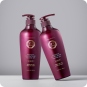 Cuidado del Cabello al mejor precio: Champú para pelo graso Daeng Gi Meo Ri Shampoo For Oily Scalp 500ml de Daeng Gi Meo Ri en Skin Thinks - 