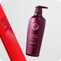 Cuidado del Cabello al mejor precio: Champú para pelo graso Daeng Gi Meo Ri Shampoo For Oily Scalp 500ml de Daeng Gi Meo Ri en Skin Thinks - 