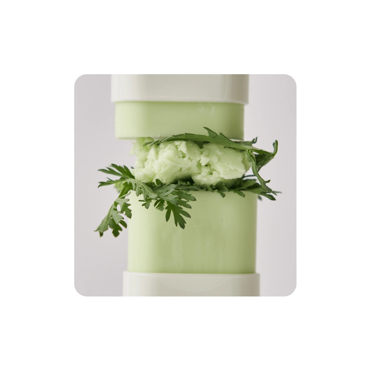 Protección Solar al mejor precio: BEAUTY OF JOSEON Matte Sun Stick Mugwort + Camelia SPF 50+ PA++++ de Beauty of Joseon en Skin Thinks - Piel Seca