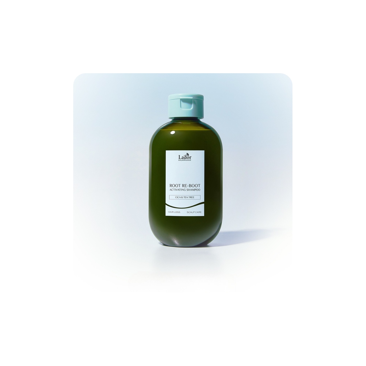 Cabello al mejor precio: LADOR Root Re-Boot Activating Shampoo (Centella asiática y Árbol de té) de Lador Eco Professional en Skin Thinks - 