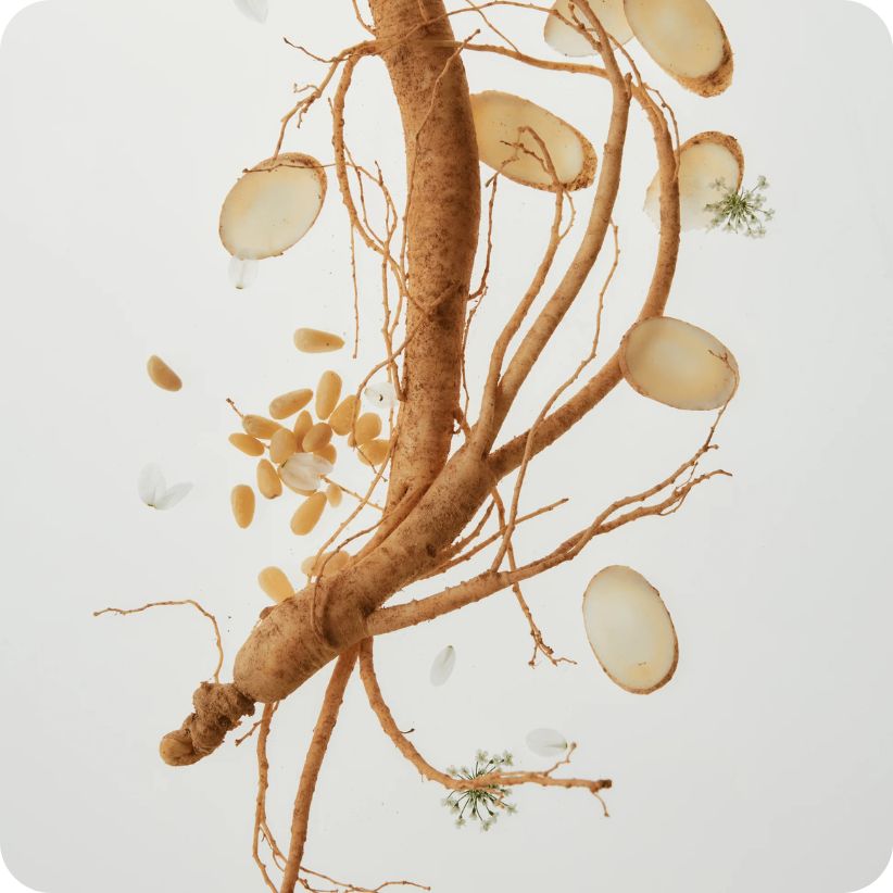 🌿 El contorno que cambió las reglas: Beauty of Joseon Revive Eye Serum Ginseng + Retinal 3 Beauty of Joseon Revive Eye Serum Ginseng + Retinal